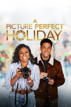 A Picture Perfect Holiday-123movies
