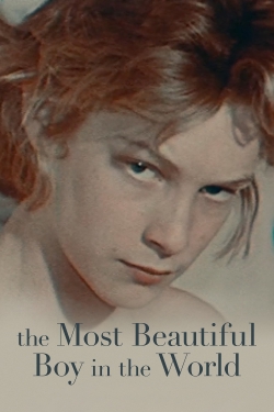 The Most Beautiful Boy in the World-123movies
