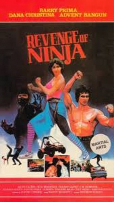 Revenge of the Ninja-123movies