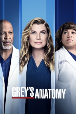 Grey's Anatomy-123movies