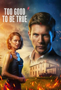 Too Good To Be True-123movies