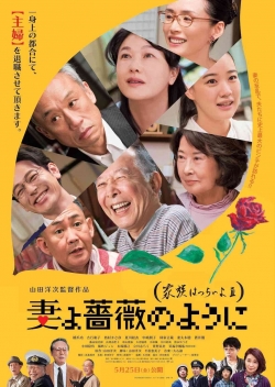 What a Wonderful Family! 3: My Wife, My Life-123movies