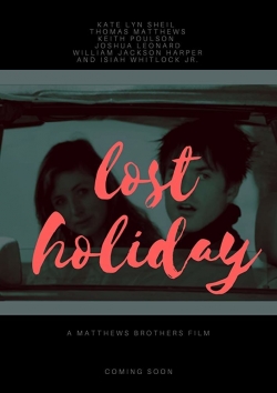 Lost Holiday-123movies
