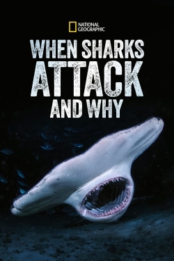 When Sharks Attack... and Why-123movies