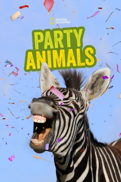 Party Animals-123movies