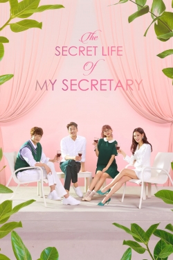 The Secret Life of My Secretary-123movies