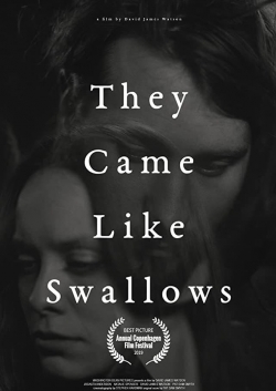 They Came Like Swallows-123movies