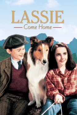 Lassie Come Home-123movies