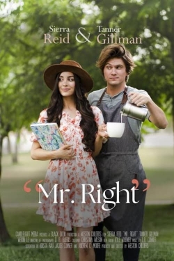 Mr. Right-123movies