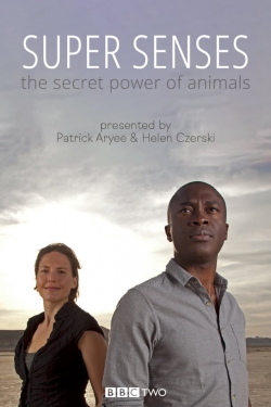 Super Senses: The Secret Power of Animals-123movies