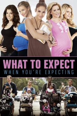 What to Expect When You're Expecting-123movies