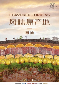 Flavorful Origins-123movies