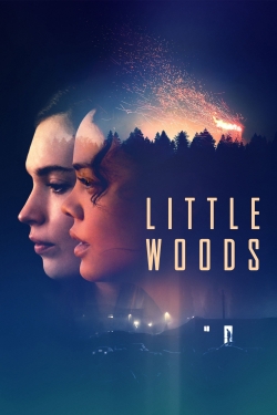Little Woods-123movies