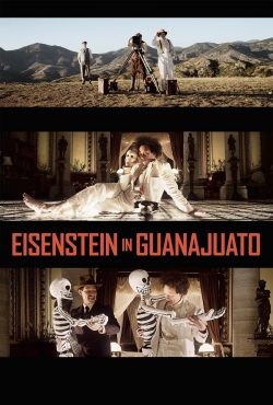 Eisenstein in Guanajuato-123movies