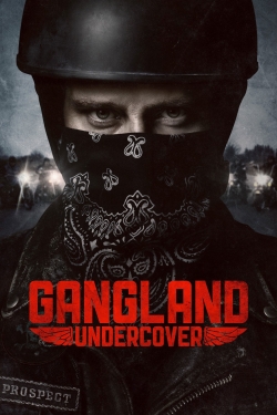 Gangland Undercover-123movies