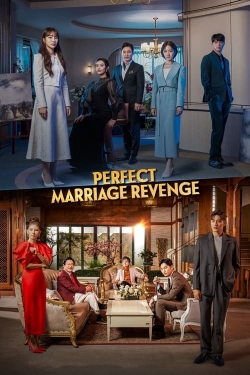 Perfect Marriage Revenge-123movies