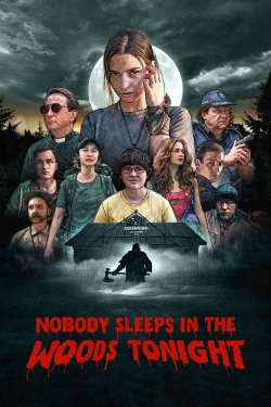 Nobody Sleeps in the Woods Tonight-123movies