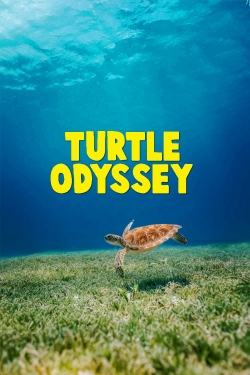 Turtle Odyssey-123movies