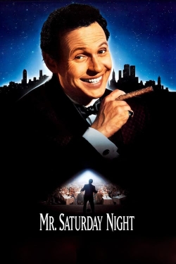 Mr. Saturday Night-123movies