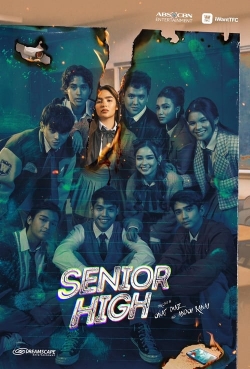 Senior High-123movies