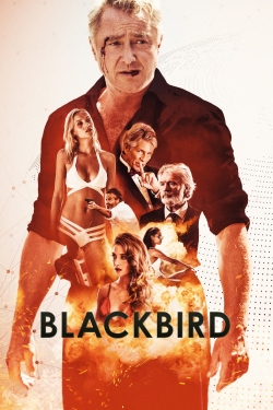 Blackbird-123movies