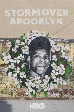 Yusuf Hawkins: Storm Over Brooklyn-123movies