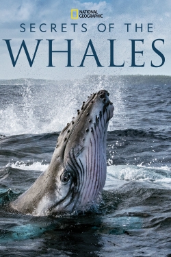 Secrets of the Whales-123movies