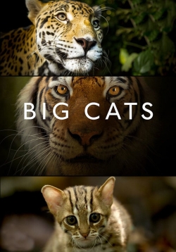 Big Cats-123movies