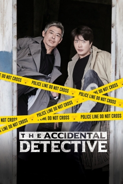The Accidental Detective-123movies