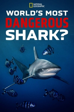 World's Most Dangerous Shark?-123movies