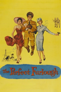 The Perfect Furlough-123movies