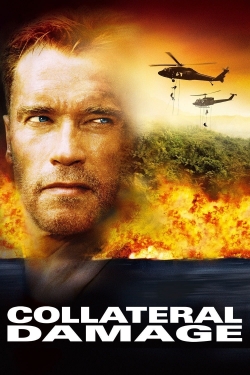 Collateral Damage-123movies