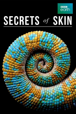 Secrets of Skin-123movies