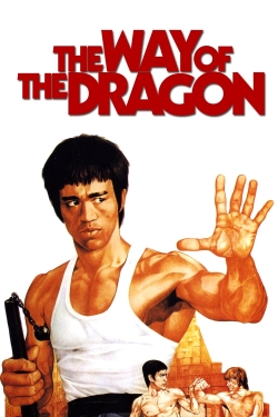 The Way of the Dragon-123movies
