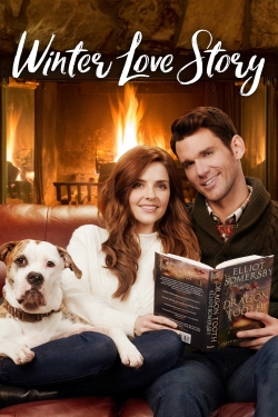 Winter Love Story-123movies