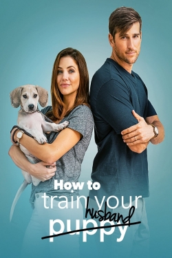 How to Train Your Husband-123movies