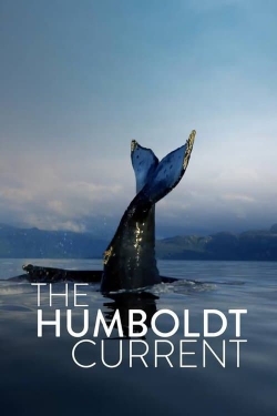 The Humboldt Current-123movies