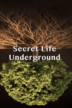 Secret Life Underground-123movies