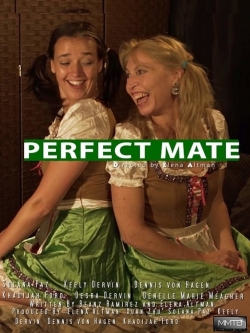 Perfect Mate-123movies