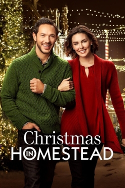 Christmas in Homestead-123movies