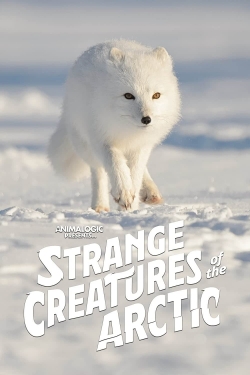 Strange Creatures of the Arctic-123movies