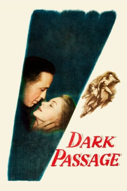 Dark Passage-123movies