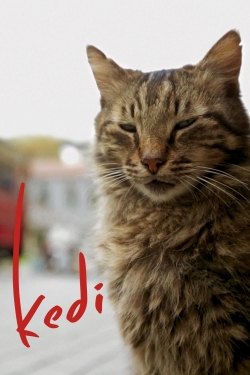 Kedi-123movies