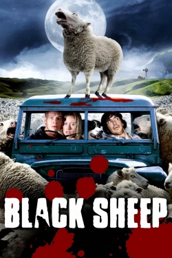 Black Sheep-123movies