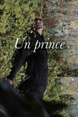 A Prince-123movies