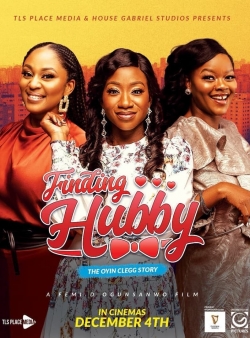 Finding Hubby-123movies