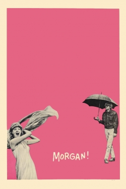 Morgan: A Suitable Case for Treatment-123movies