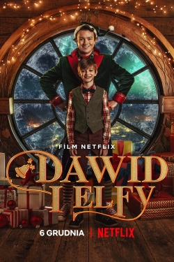 David and the Elves-123movies