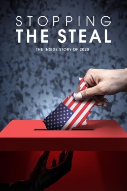 Stopping the Steal-123movies