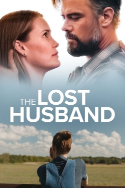 The Lost Husband-123movies